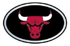 Chicago Bulls Color Auto Emblem