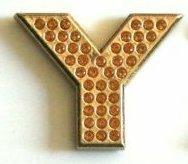 Crystal Chrome Letters GOLD - Y