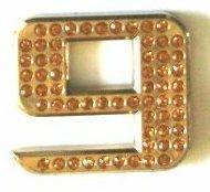 Crystal Chrome Numbers GOLD - 9